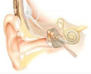 Screenshot_20211205-204924_Google_copy_1265x1024